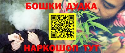 индика Заводоуковск