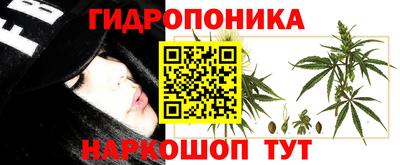 индика Заводоуковск