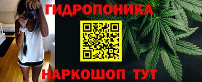 индика Заводоуковск