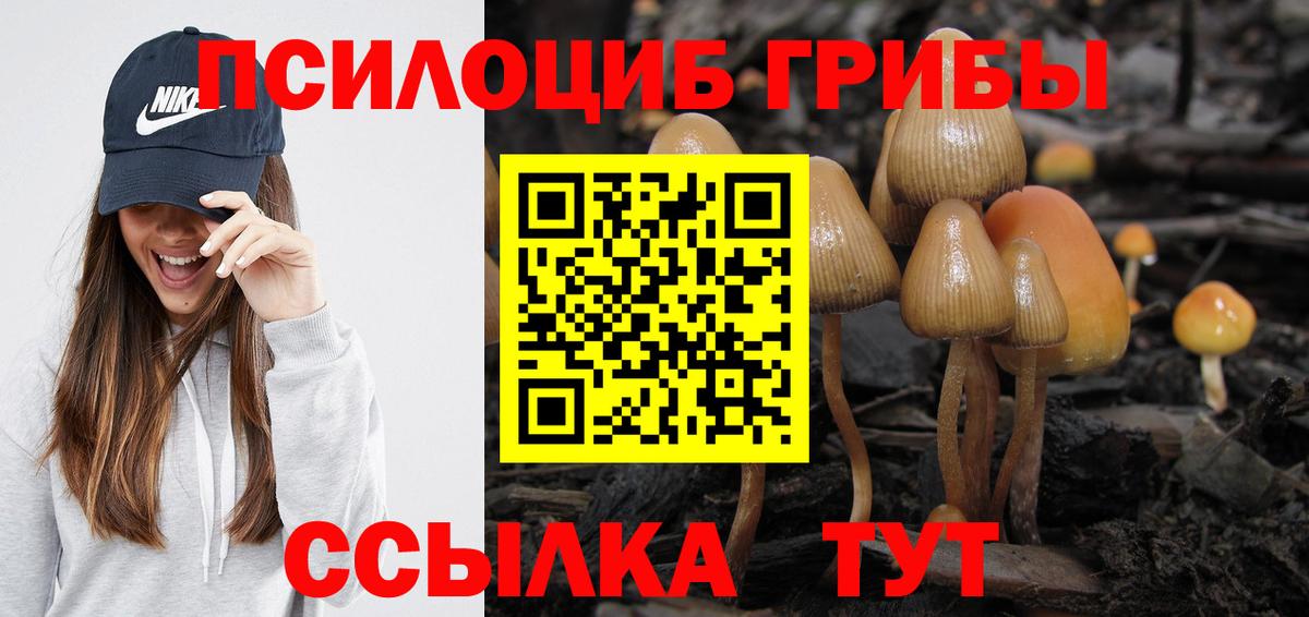 Псилоцибиновые грибы прущие грибы Луховицы